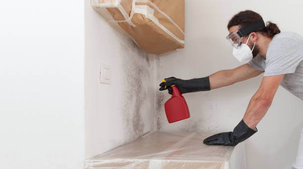 Professional Mold Remediation technician working in East Earl, PA
